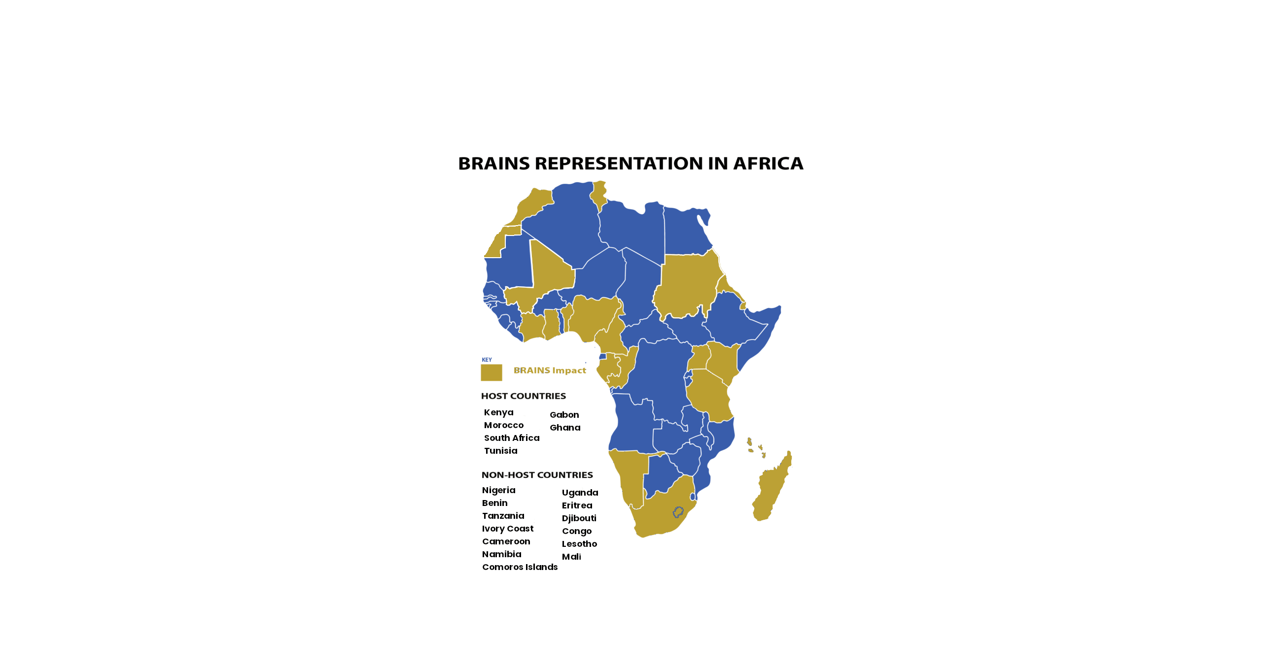 Updated Brains Impact Map